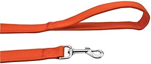 Strong Nylon Dog Leash with 2-Layer, 4 FT/ 6 Feet Long, 1 Inch Wide for Medium Large Dogs (1'' x 5 FT, Orange)