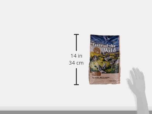 Taste of the Wild Ancient Wetlands All Life Stages High Protein Recipe with Roasted Fowl & Ancient Grains Dry Dog Food 5lb