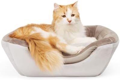 EveryYay by Petco 2-in-1 Novelty Pyramid Convertible Cat Bed 16" L X 16" W Gray