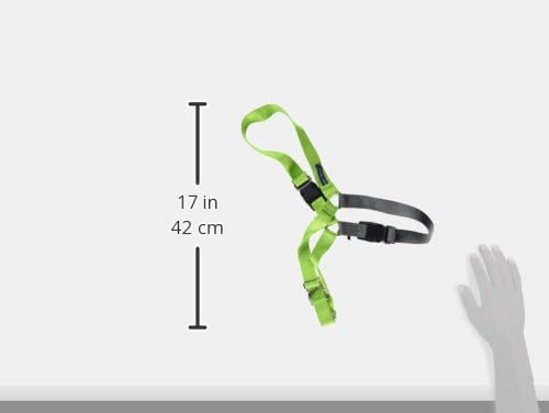 PetSafe Easy Walk No-Pull Dog Harness - Ultimate Harness to Help Stop Pulling - Pull-Free Walks - Take Control & Teach Better Leash Manners - Patented Martingale Loop Design - Apple Green, Large