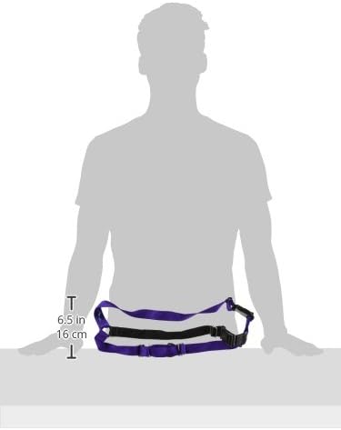 PetSafe Easy Walk No-Pull Dog Harness - Ultimate Harness to Help Stop Pulling - Pull-Free Walks - Take Control & Teach Better Leash Manners - Patented Martingale Loop Design - Deep Purple, Large