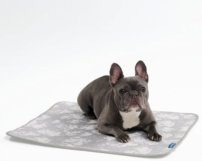 Spark Paws Cooling Mat for Dogs - Self Cooling Dog Mat & Pet Cooling Pad for Large, Medium & Small Dogs - Non-Toxic, Non-Gel Washable Cooling Bed - Cloud Grey - Size M
