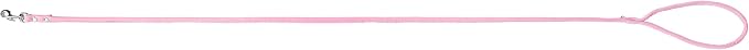 Pink Soft Leather Dog Leash for Small,Medium Dog Walking, Comfortable Leather Handle, 4 ft Pink