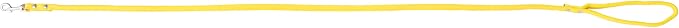 Yellow Soft Leather Dog Leash for Small,Medium Dog Walking, Comfortable Leather Handle, 4 ft Yellow