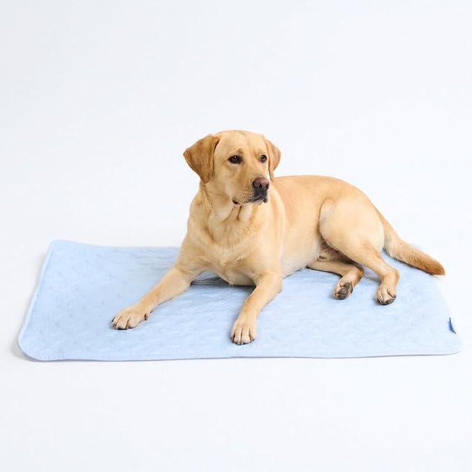 Spark Paws Cooling Mat for Dogs - Self Cooling Dog Mat & Pet Cooling Pad for Large, Medium & Small Dogs - Non-Toxic, Non-Gel Washable Cooling Bed - Hearts Blue - Size XXL