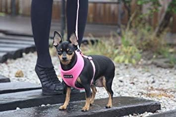 Puppia Soft Dog Harness No Choke Over-The-Head Triple Layered Breathable Mesh Adjustable Chest Belt and Quick-Release Buckle, Pink, Small