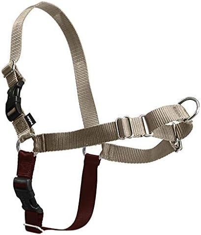 PetSafe Easy Walk No-Pull Dog Harness - Ultimate Harness to Help Stop Pulling - Pull-Free Walks - Take Control & Teach Better Leash Manners - Patented Martingale Loop Design - Fawn, Small