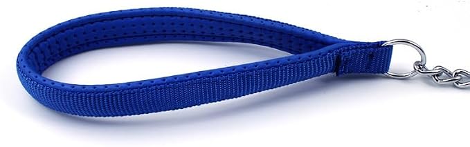 SGODA Metal Chain Heavy Duty Dog Leash, Chew Proof Dog Leash with Soft Handle for Large & Medium Size Pets Walking(4 ft. x 3.0 mm Blue)