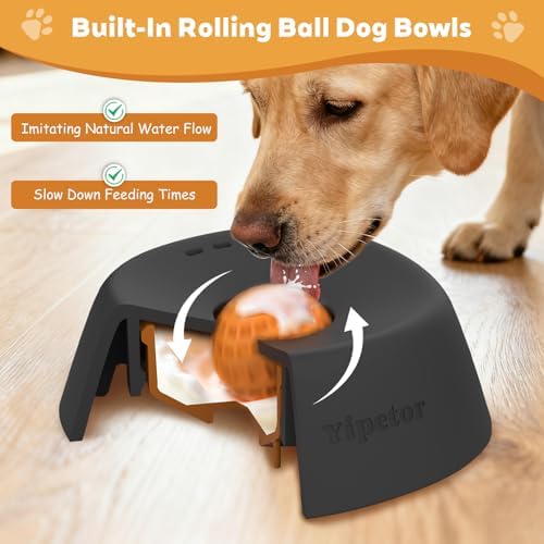 Yipetor Slow Feeder Dog Bowls for Liquid Treat, 【Enrichment Ball-Roll】 Bone Broth Dog Lick Bowl, 3/4 Cup Yogurt Pup Lick Toy for Large Medium Small Breeds Dietary Supplement/Post-op Nutrition