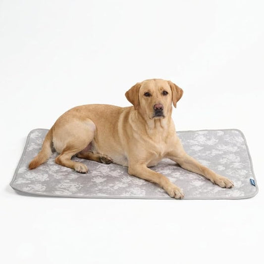 Spark Paws Cooling Mat for Dogs - Self Cooling Dog Mat & Pet Cooling Pad for Large, Medium & Small Dogs - Non-Toxic, Non-Gel Washable Cooling Bed - Cloud Grey - Size XXL