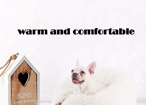 Modern Soft Plush Round Pet Bed for Cats or Small Dogs, Mini Medium Sized Dog Cat Bed Self Warming Autumn Winter Indoor Snooze Sleeping Cozy Kitty Teddy Kennel (20” D x 8'' H, Pink)