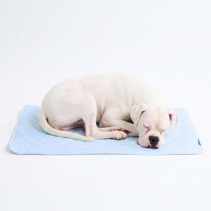 Spark Paws Cooling Mat for Dogs - Self Cooling Dog Mat & Pet Cooling Pad for Large, Medium & Small Dogs - Non-Toxic, Non-Gel Washable Cooling Bed - Hearts Blue - Size XL