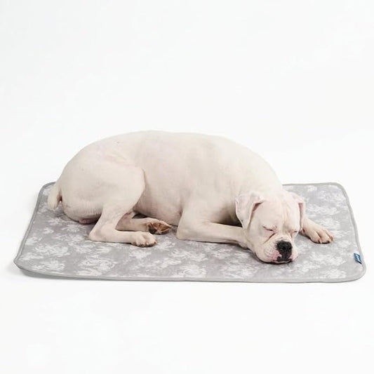 Spark Paws Cooling Mat for Dogs - Self Cooling Dog Mat & Pet Cooling Pad for Large, Medium & Small Dogs - Non-Toxic, Non-Gel Washable Cooling Bed - Cloud Grey - Size XL