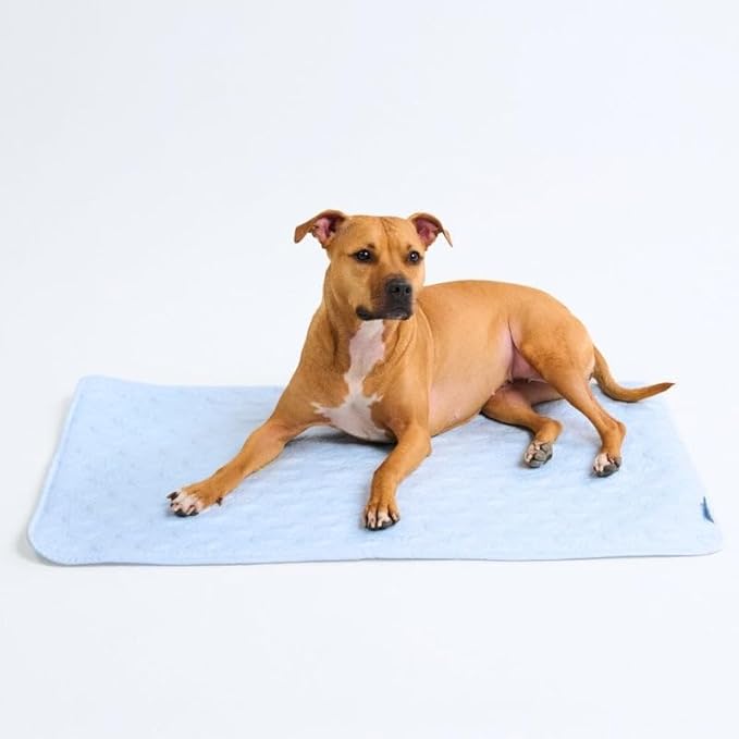 Spark Paws Cooling Mat for Dogs - Self Cooling Dog Mat & Pet Cooling Pad for Large, Medium & Small Dogs - Non-Toxic, Non-Gel Washable Cooling Bed - Hearts Blue - Size L