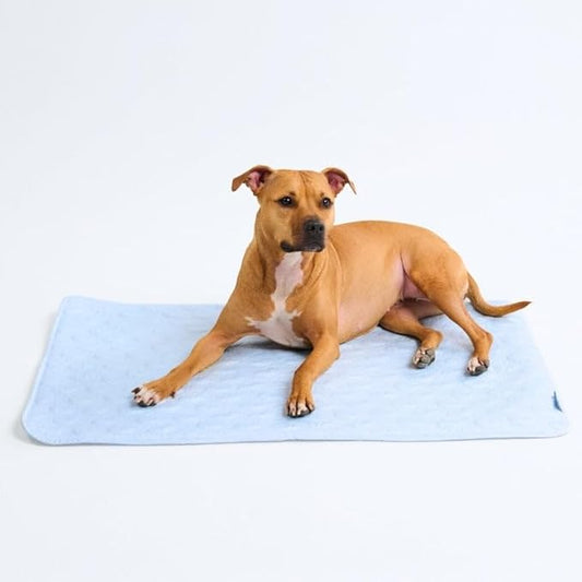 Spark Paws Cooling Mat for Dogs - Self Cooling Dog Mat & Pet Cooling Pad for Large, Medium & Small Dogs - Non-Toxic, Non-Gel Washable Cooling Bed - Hearts Blue - Size L