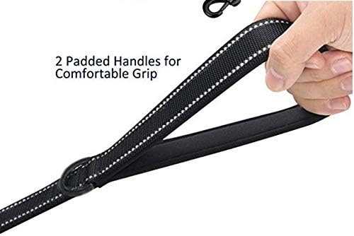 Heavy Duty Dog Leash - 2 Handles by Padded Traffic Handle for Extra Control, 6foot Long - Perfect for Medium to Large Dogs (6 ft, Bright Green)