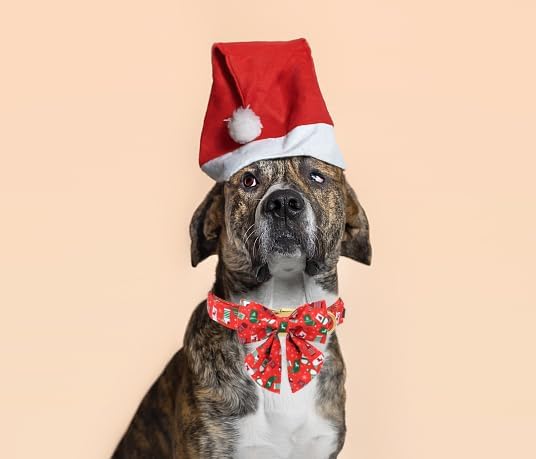 Unique Style Paws Christmas Day Dog Collar with Bowtie Christmas Socks Cotton Puppy Collars for Small Medium Large Dogs