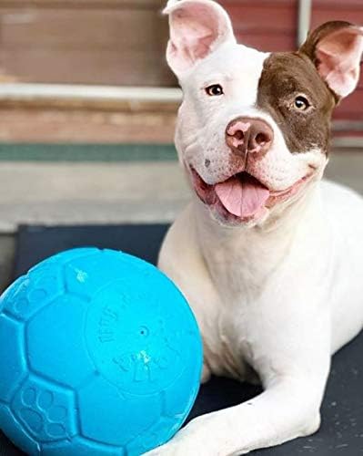 Jolly Pets Large Soccer Ball Floating-Bouncing Dog Toy, 8 inch Diameter, Ocean Blue (Pack of 12)