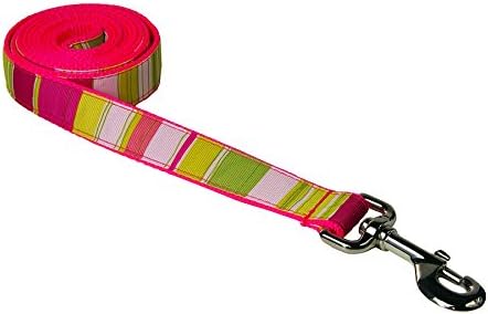 Small Neon Pink/Multi Stripe Dog Leash: 3/4" Wide, 4ft Length - Made in USA.