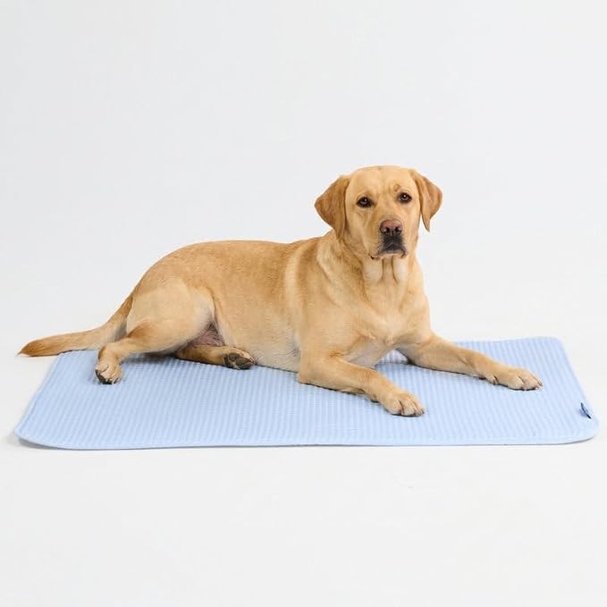 Spark Paws Cooling Mat for Dogs - Self Cooling Dog Mat & Pet Cooling Pad for Large, Medium & Small Dogs - Non-Toxic, Non-Gel Washable Cooling Bed - Waffle Blue - Size XXL