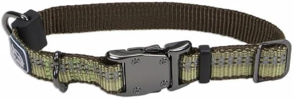 Coastal Pet K9 Explorer Reflective Adjustable Dog Collar - Comfortable Collar for the Outdoors - Durable, Lightweight Accessory with Side-Release Buckle - Fern, 5/8" x 10-14"