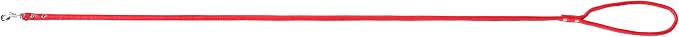 Red Soft Leather Dog Leash for Small,Medium Dog Walking, Comfortable Leather Handle, 4 ft Red