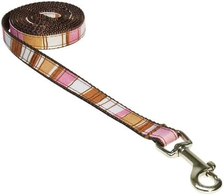 XSmall Brown/Multi Stripe Dog Leash: 1/2" Wide, 4ft Length - Made in USA.