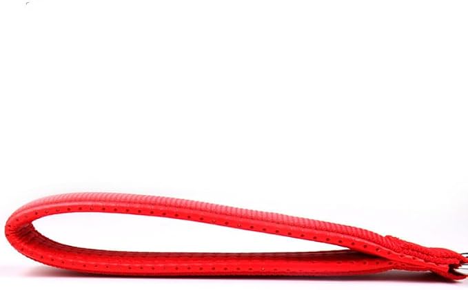 SGODA Metal Chain Heavy Duty Dog Leash, Chew Proof Dog Leash with Soft Handle for Large Size Pets Walking(4 ft. x 3.5 mm Red)