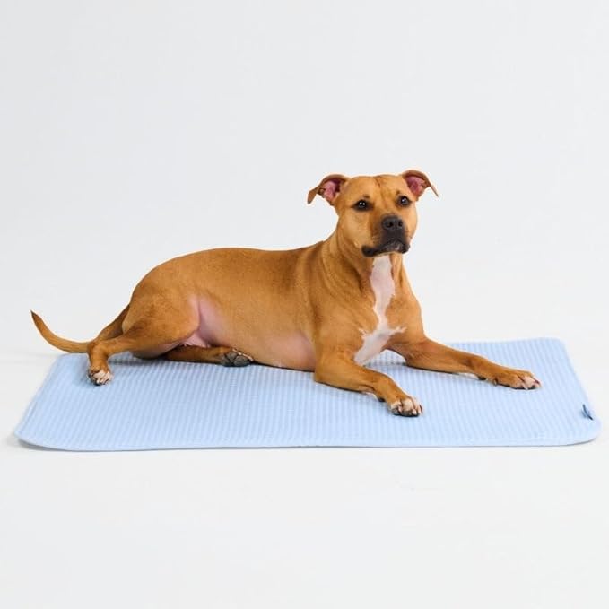 Spark Paws Cooling Mat for Dogs - Self Cooling Dog Mat & Pet Cooling Pad for Large, Medium & Small Dogs - Non-Toxic, Non-Gel Washable Cooling Bed - Waffle Blue - Size L