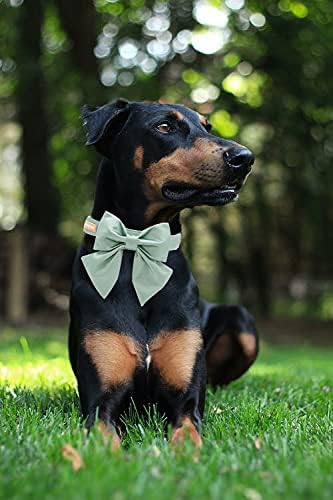 Unique style paws Silk Green Color Dog Collar Adjustable Durable Dog Collar with Bow Wedding Bowtie Collar for X-Large Dogs