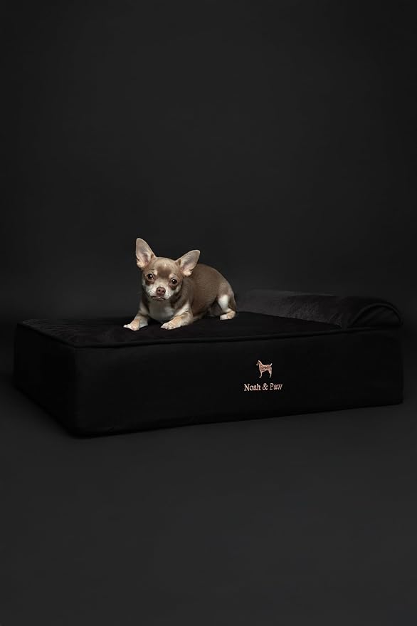 NOAH & PAW Dog Bed, 28x23x7.5 Inch, Orthopedic Dog Beds for Medium Size Pets, Eggshell Memory Foam Infused with Cooling Gel, Water Resistant, Machine Washable, Includes Inner Cover (Denim Collection)