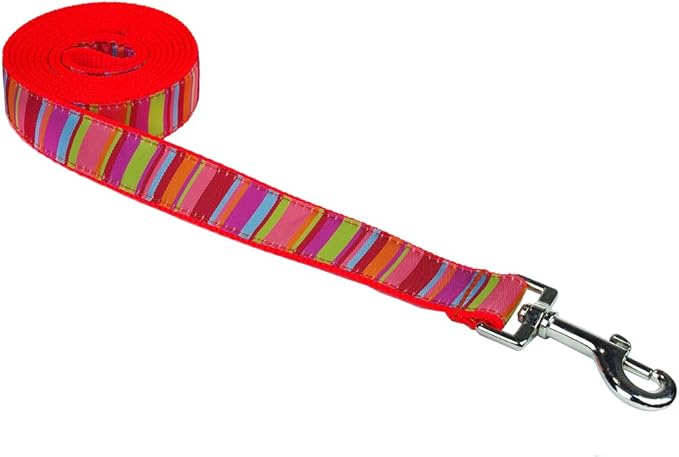 Large Lime/Coral Stripe Dog Leash: 1" Wide, 6ft Length - Made in USA.