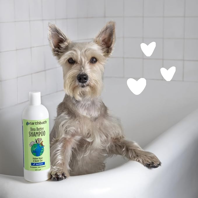 earthbath, Ultra-Moisturizing Shea Butter Shampoo - Dog & Cat Shampoo, Plant-Based, Cruelty-Free, Vegan, Gluten-Free, Non-GMO, Made in USA, Avocado and Calendula - 16 Oz (1 Pack)