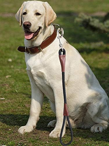 BTINESFUL Short Dog Leash- 2FT Strong Nylon Black Traffic Leash- No Pull Rope Lead for Medium Large Dogs Training Walking (Black,1/2" x 24 inch)