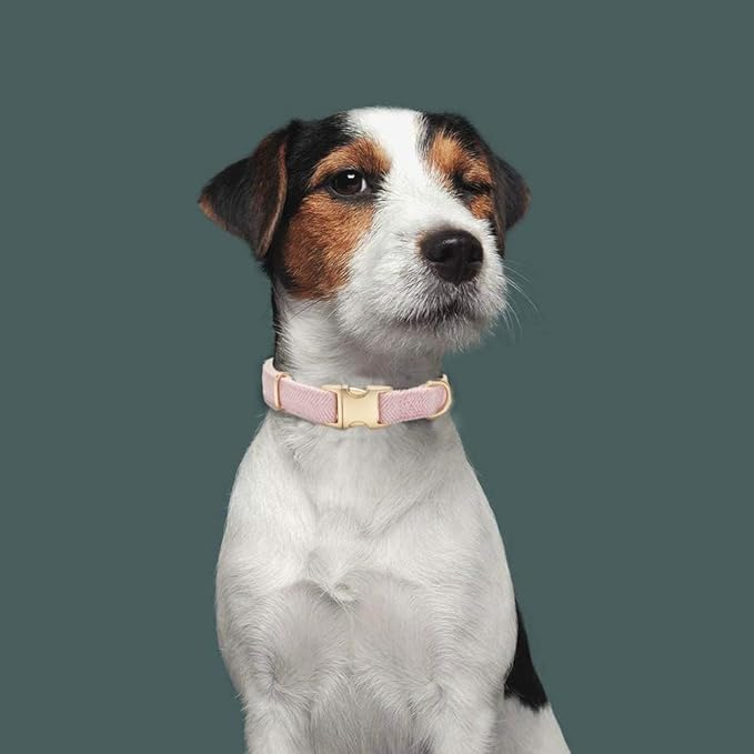 Soft Dog Collar and Leash Set Adjustable Woven Tweed Dog Collars with Metal Buckle and Lead for Small Medium Large Dogs,Pink