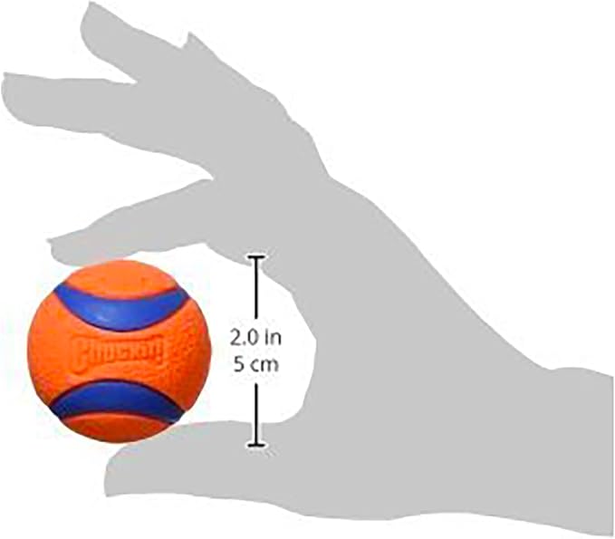 Chuckit! Ultra Ball Dog Toy, Balls for Dogs to Fetch, Durable Rubber, Small 2-inch, Pack of 24