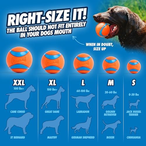 Chuckit! Ultra Ball Dog Toy, Balls for Dogs to Fetch, Durable Rubber, Small 2-inch, Pack of 24