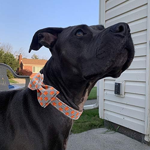 Elegant little tail Halloween Dog Collar, Pumpkin Print Pet Collar Bowtie Dog Collars Holiday Adjustable Pet Gift Collars for Small Medium Large Dogs