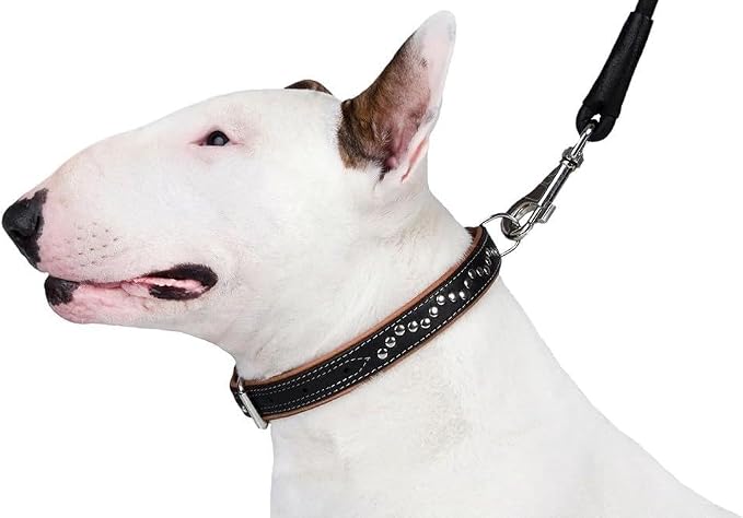 CollarDirect Studded Dog Collar Leather Pet Collars for Dogs Small Medium Large Puppy Soft Padded Brown Black (Brown, Neck fit 20" - 22")