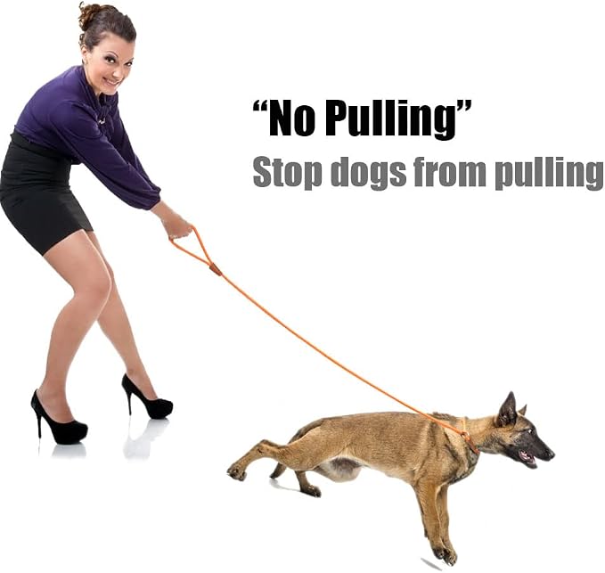 lynxking Dog Leash Slip Lead 5 6 8 FT Dog Training Leash Strong Heavy Duty Braided No Pull Training Lead Leashes for Small Medium Large Dogs