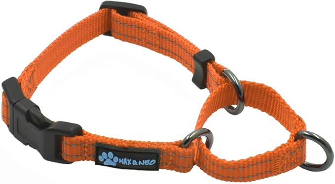Max and Neo Nylon Martingale Collar - We Donate to a Dog Rescue for Every Collar Sold (X-Small, Orange)