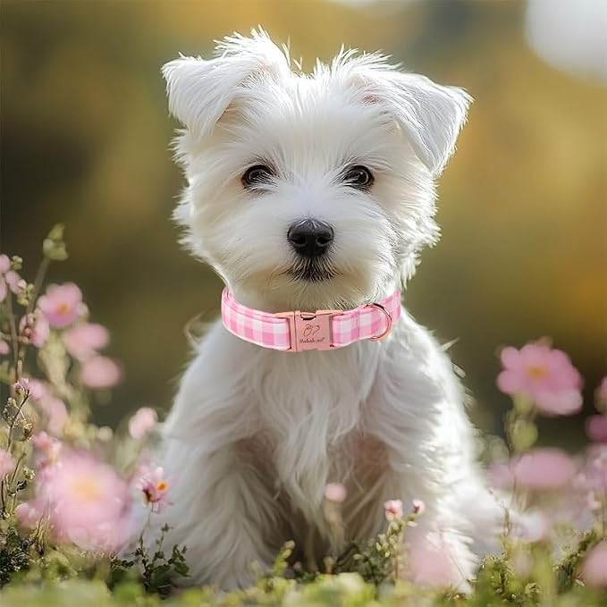 Girl Dog Collar, Classic Pink Gingham Dog Collars - Soft Adjustable Spring Summer Everyday Collars for Small Medium Large Dogs, Sweet Checkered Female Dogs Collar XL