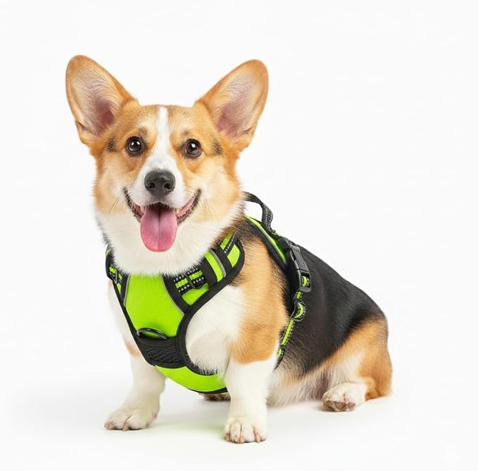No Pull Dog Harness, Small Green Tactical Vest Harness, 900D Heavy Duty Nylon Reflective Pet Harness with Front & Back Easy Control Handles, Adjustable Soft Padded Vest for Small Dogs Corgi
