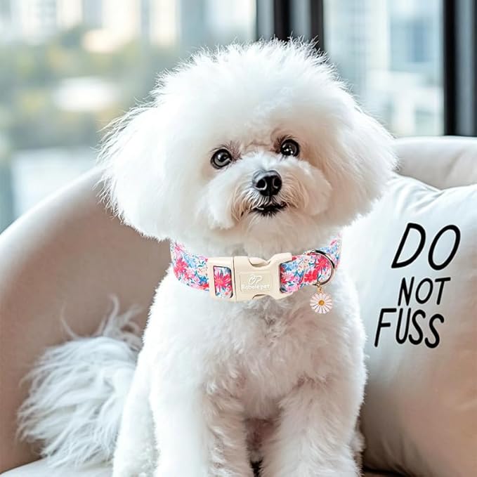 Floral Dog Collar Cute Spring/Summer Dog Collars for Small Dogs - Lightweight Adjustable Pastel Wildflower Male Female Dogs Everyday Collar with Safety Buckle S
