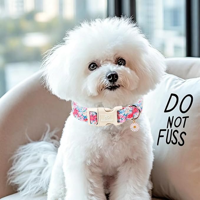 Floral Dog Collar Cute Spring/Summer Dog Collars for Medium Dogs - Lightweight Adjustable Pastel Wildflower Male Female Dogs Everyday Collar with Safety Buckle M