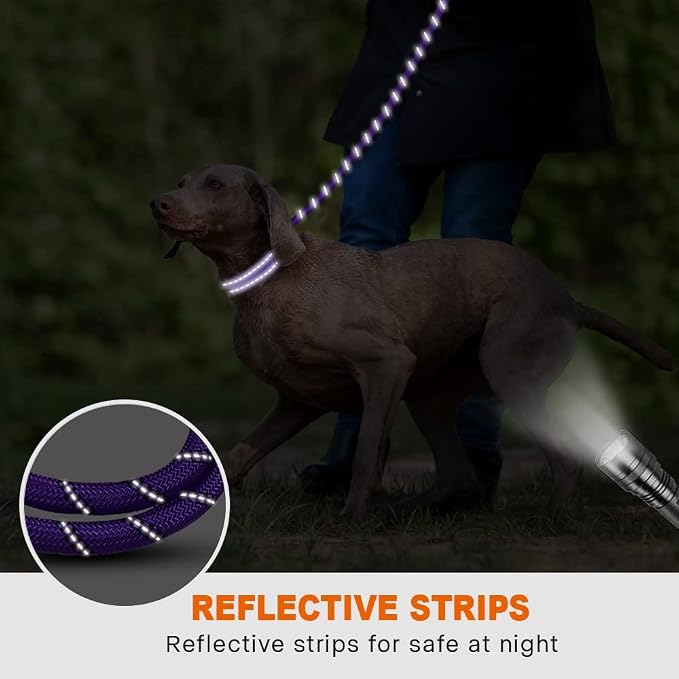 Taglory Rope Dog Leash 6 FT with Comfortable Padded Handle, Highly Reflective Threads Leash and Anti-Tangle Clip for Walking Medium Large Dogs, 1/2 inch, Purple