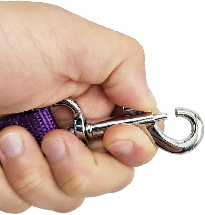 Nylon Dog Training Leash, Traction Rope, 4Foot /5 Ft /6 Feet Long, 5/8 inch 3/4 Inch 1 Inch Wide, for Small and Medium Dogs