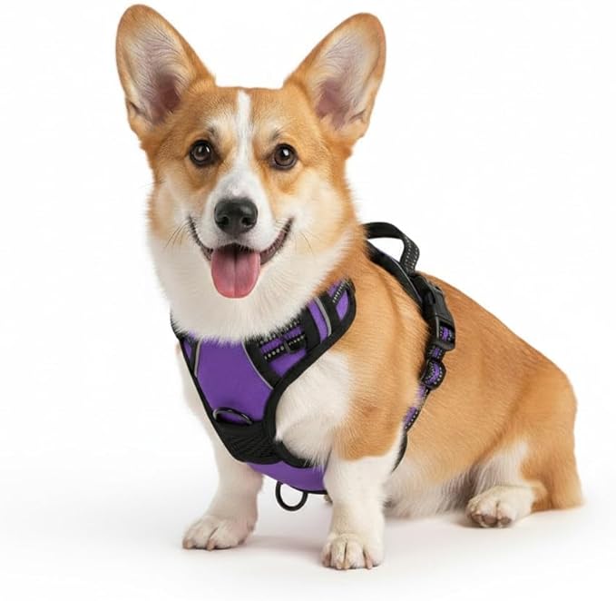 No Pull Dog Harness, Small Purple Tactical Vest Harness, 900D Heavy Duty Nylon Reflective Pet Harness with Front & Back Easy Control Handles, Adjustable Soft Padded Vest for Small Dogs Corgi