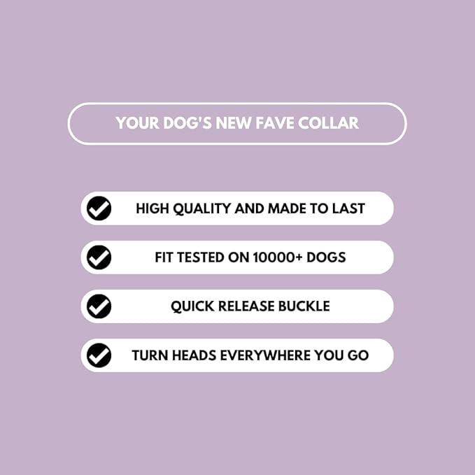 Spark Paws Tactical Dog Collar - Heavy Duty, Premium Quality, Thick and Durable for Large and Medium Dogs - Purple - L