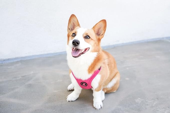 Gooby Escape Free Sport Harness - Pink, Large - No Choke Step-in Patented Neoprene Small Dog Harness with Four-Point Adjustment - Perfect on The Go Dog Harness for Medium Dogs No Pull and Small Dogs